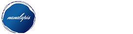 株式会社Nanalapis