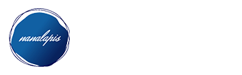 株式会社Nanalapis